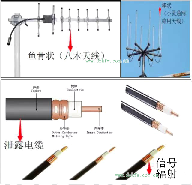 ؛õ쾀A֪Rԃã